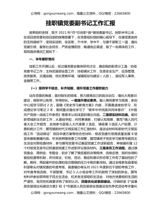 挂职镇党委副书记工作汇报