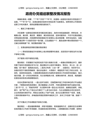 政府办党组巡察整改情况报告