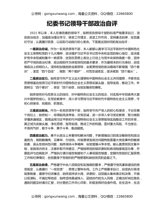 纪委书记领导干部政治自评