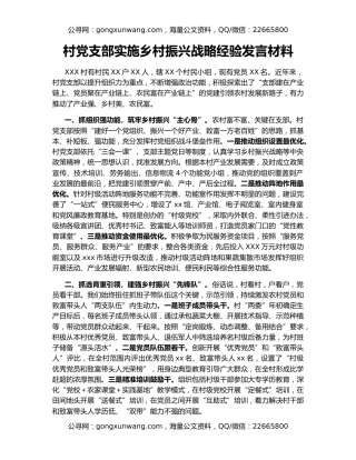 村党支部实施乡村振兴战略经验发言材料