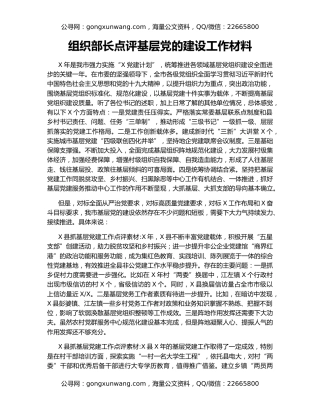 组织部长点评基层党的建设工作材料