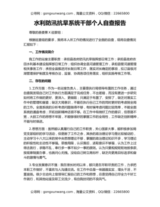 水利防汛抗旱系统干部个人自查报告