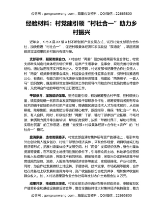 经验材料：村党建引领“村社合一”助力乡村振兴