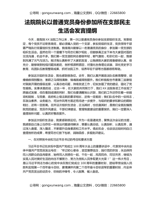法院院长以普通党员身份参加所在支部民主生活会发言提纲