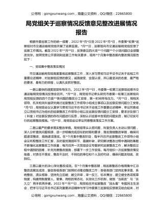 局党组关于巡察情况反馈意见整改进展情况报告
