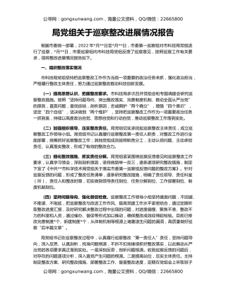 局党组关于巡察整改进展情况报（2）