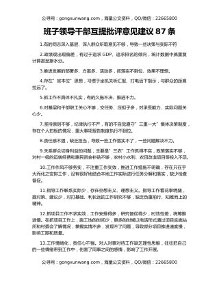 班子领导干部互提批评意见建议87条