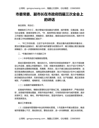 市委常委、副市长在市政府四届三次全会上的讲话