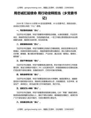 用忠诚扛起使命 用行动诠释担当（乡党委书记）