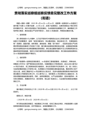 贯彻落实巡察组巡察反馈意见整改工作方案（街道）