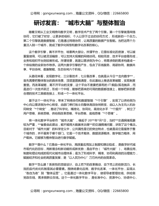 研讨发言：“城市大脑”与整体智治