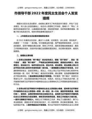 市领导干部2022年度民主生活会个人发言提纲
