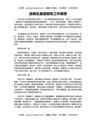 选调生基层锻炼工作感想