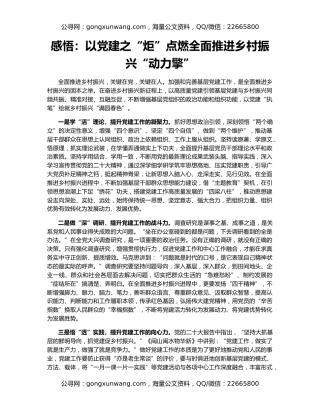 感悟：以党建之“炬”点燃全面推进乡村振兴“动力擎”