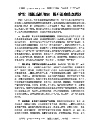 感悟：强担当抓落实   提升巡察整改质效