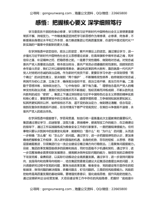 感悟：把握核心要义 深学细照笃行