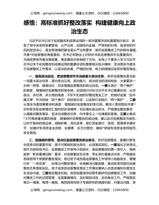 感悟：高标准抓好整改落实  构建健康向上政治生态