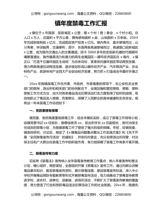 镇年度禁毒工作汇报