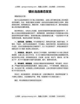 镇长当选表态发言