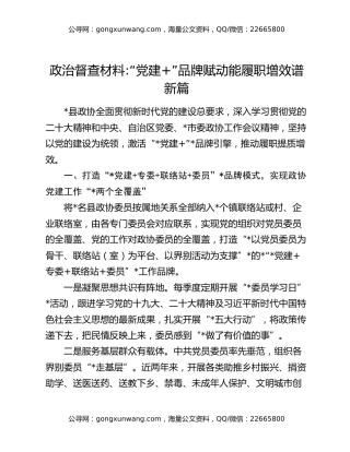 政治督查材料“党建+”品牌赋动能履职增效谱新篇