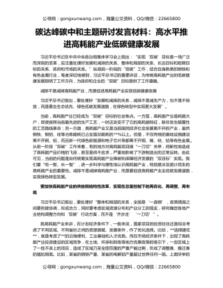 碳达峰碳中和主题研讨发言材料：高水平推进高耗能产业低碳健康发展