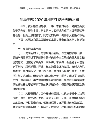 领导干部2020年组织生活会剖析材料