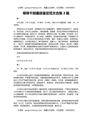 领导干部廉政鉴定范文合集3篇