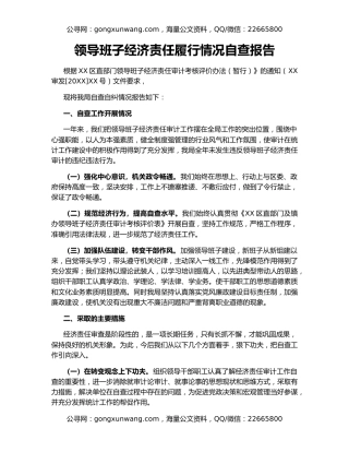 领导班子经济责任履行情况自查报告