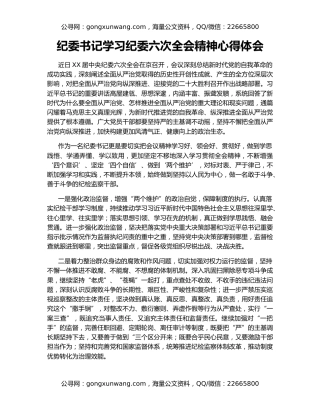 纪委书记学习纪委六次全会精神心得体会