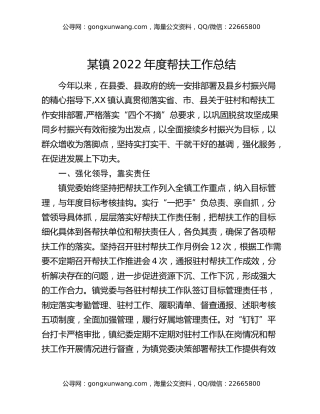 某镇2022年度帮扶工作总结