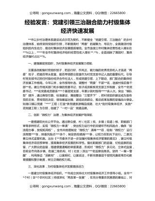 经验发言：党建引领三治融合助力村级集体经济快速发展
