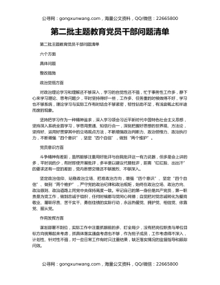 第二批主题教育党员干部问题清单