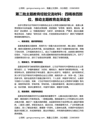 第二批主题教育经验交流材料：四精准四到位，推动主题教育走深走实