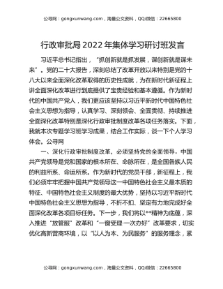 行政审批局2022年集体学习研讨班发言
