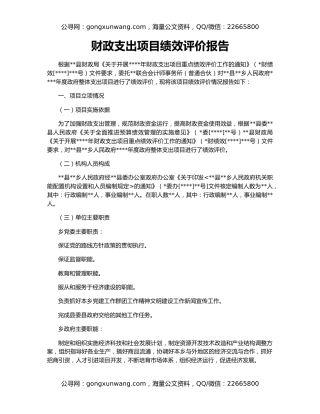 财政支出项目绩效评价报告