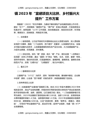 镇2023年“富硒项目大比拼、乡村振兴大提升”工作方案