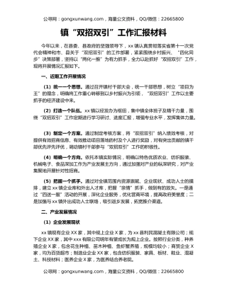 镇“双招双引”工作汇报材料