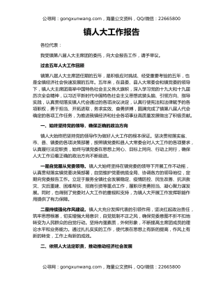 镇人大工作报告