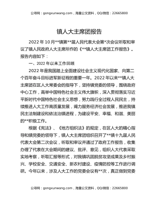 镇人大主席团报告