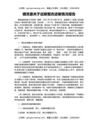 镇党委关于巡察整改进展情况报告