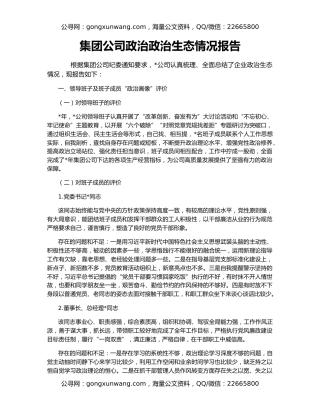 集团公司政治政治生态情况报告