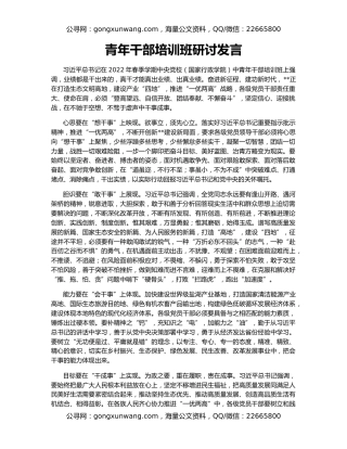 青年干部培训班研讨发言