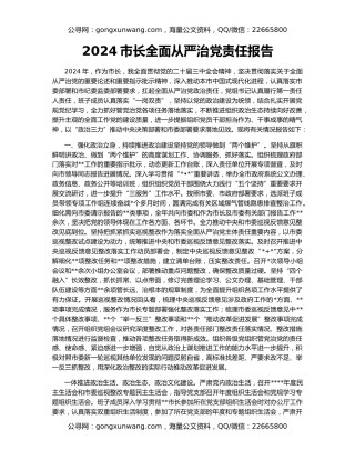 2024市长全面从严治党责任报告
