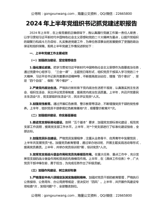 2024年上半年党组织书记抓党建述职报告
