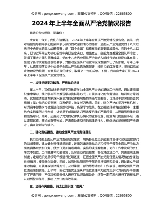 2024年上半年全面从严治党情况报告