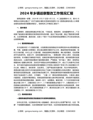 2024年乡镇巡察整改工作情况汇报