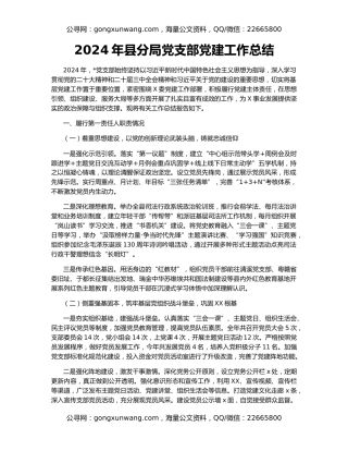 2024年县分局党支部党建工作总结