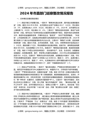 2024年市直部门巡察整改情况报告