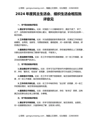 2024年度民主生活会、组织生活会相互批评意见