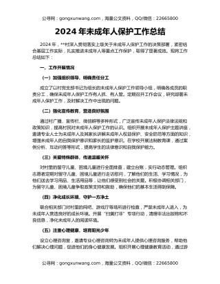 2024年未成年人保护工作总结